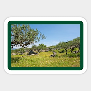 Landscape Near Nerezisca, Brac Island, Croatia Sticker